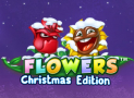 Flowers Christmas Edition